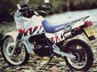 Suzuki DR 650RS